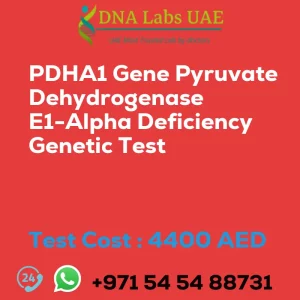 PDHA1 Gene Pyruvate Dehydrogenase E1-Alpha Deficiency Genetic Test sale cost 4400 AED