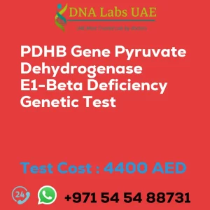 PDHB Gene Pyruvate Dehydrogenase E1-Beta Deficiency Genetic Test sale cost 4400 AED