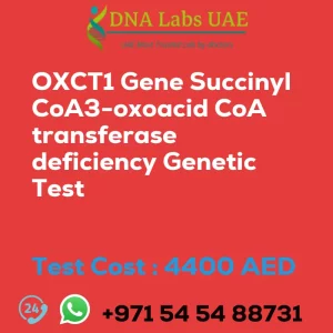 OXCT1 Gene Succinyl CoA3-oxoacid CoA transferase deficiency Genetic Test sale cost 4400 AED