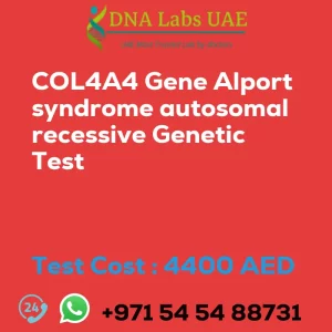 COL4A4 Gene Alport syndrome autosomal recessive Genetic Test sale cost 4400 AED