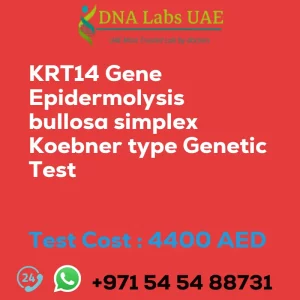 KRT14 Gene Epidermolysis bullosa simplex Koebner type Genetic Test sale cost 4400 AED