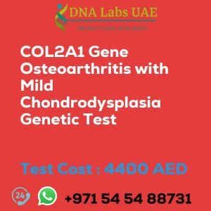 COL2A1 Gene Osteoarthritis with Mild Chondrodysplasia Genetic Test sale cost 4400 AED