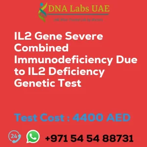 IL2 Gene Severe Combined Immunodeficiency Due to IL2 Deficiency Genetic Test sale cost 4400 AED