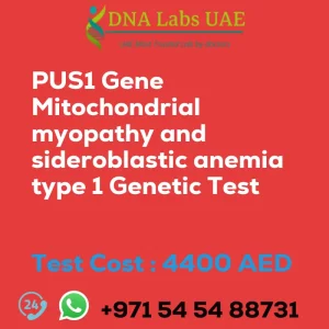 PUS1 Gene Mitochondrial myopathy and sideroblastic anemia type 1 Genetic Test sale cost 4400 AED