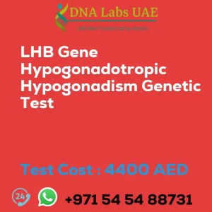 LHB Gene Hypogonadotropic Hypogonadism Genetic Test sale cost 4400 AED