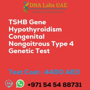 TSHB Gene Hypothyroidism Congenital Nongoitrous Type 4 Genetic Test sale cost 4400 AED