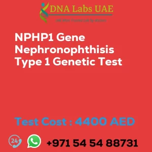 NPHP1 Gene Nephronophthisis Type 1 Genetic Test sale cost 4400 AED