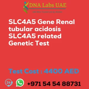 SLC4A5 Gene Renal tubular acidosis SLC4A5 related Genetic Test sale cost 4400 AED