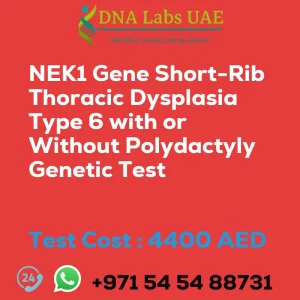 NEK1 Gene Short-Rib Thoracic Dysplasia Type 6 with or Without Polydactyly Genetic Test sale cost 4400 AED