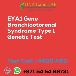 EYA1 Gene Branchiootorenal Syndrome Type 1 Genetic Test sale cost 4400 AED