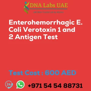 Enterohemorrhagic E. Coli Verotoxin 1 and 2 Antigen Test sale cost 600 AED