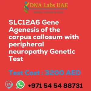 SLC12A6 Gene Agenesis of the corpus callosum with peripheral neuropathy Genetic Test sale cost 3200 AED