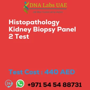 Histopathology Kidney Biopsy Panel 2 Test sale cost 440 AED