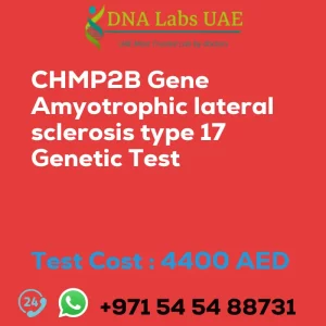 CHMP2B Gene Amyotrophic lateral sclerosis type 17 Genetic Test sale cost 4400 AED