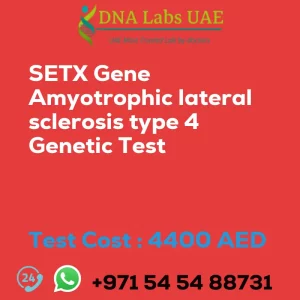 SETX Gene Amyotrophic lateral sclerosis type 4 Genetic Test sale cost 4400 AED