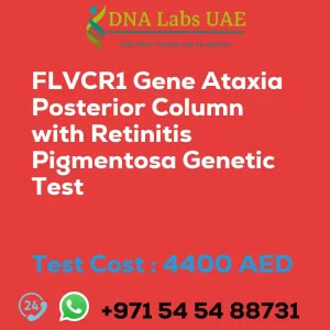 FLVCR1 Gene Ataxia Posterior Column with Retinitis Pigmentosa Genetic Test sale cost 4400 AED