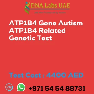 ATP1B4 Gene Autism ATP1B4 Related Genetic Test sale cost 4400 AED