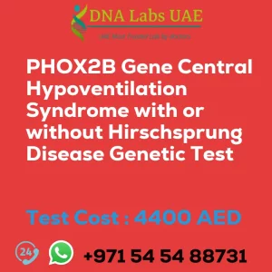 PHOX2B Gene Central Hypoventilation Syndrome with or without Hirschsprung Disease Genetic Test sale cost 4400 AED