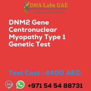 DNM2 Gene Centronuclear Myopathy Type 1 Genetic Test sale cost 4400 AED