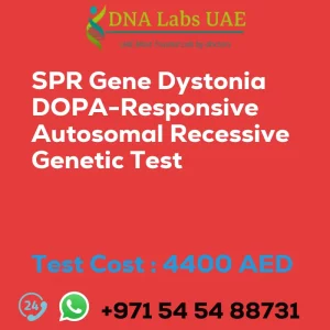 SPR Gene Dystonia DOPA-Responsive Autosomal Recessive Genetic Test sale cost 4400 AED