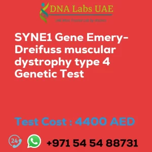 SYNE1 Gene Emery-Dreifuss muscular dystrophy type 4 Genetic Test sale cost 4400 AED