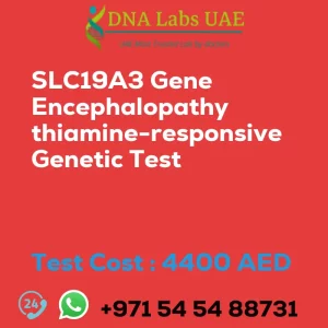 SLC19A3 Gene Encephalopathy thiamine-responsive Genetic Test sale cost 4400 AED