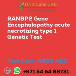 RANBP2 Gene Encephalopathy acute necrotizing type 1 Genetic Test sale cost 4400 AED