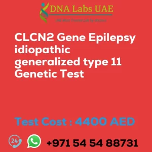 CLCN2 Gene Epilepsy idiopathic generalized type 11 Genetic Test sale cost 4400 AED