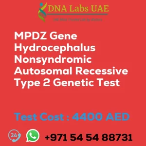 MPDZ Gene Hydrocephalus Nonsyndromic Autosomal Recessive Type 2 Genetic Test sale cost 4400 AED