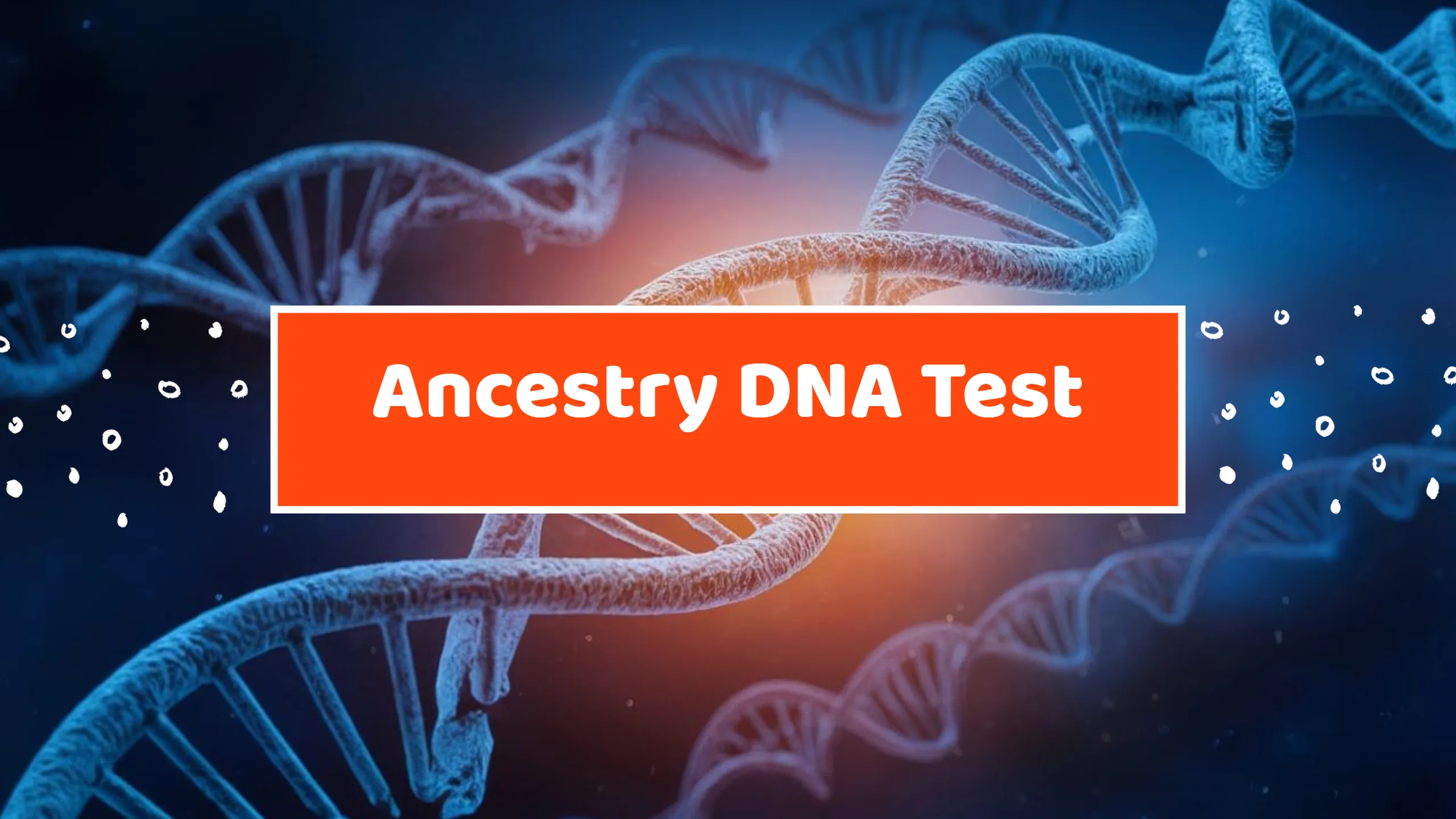 Ancestry DNA Test