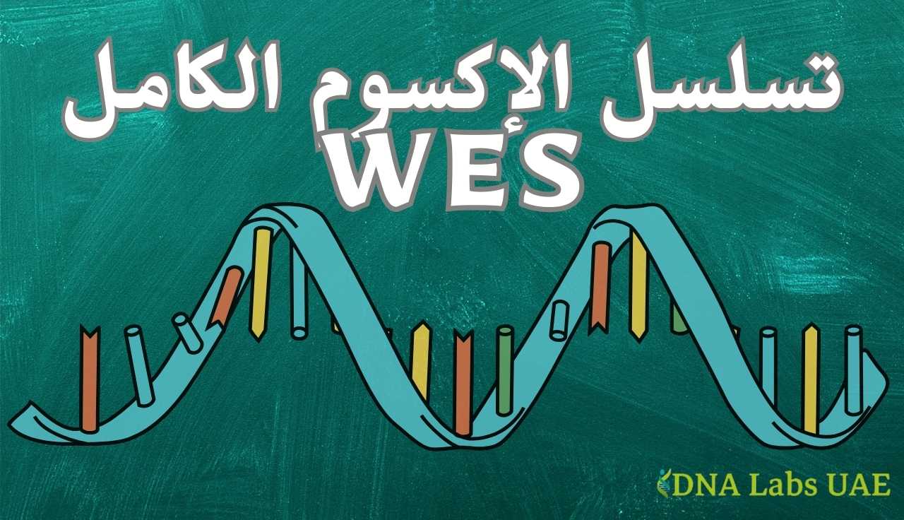 رسم توضيحي لحلزون الحمض النووي (DNA) مع نص "تسلسل الإكسوم الكامل WES" على خلفية خضراء