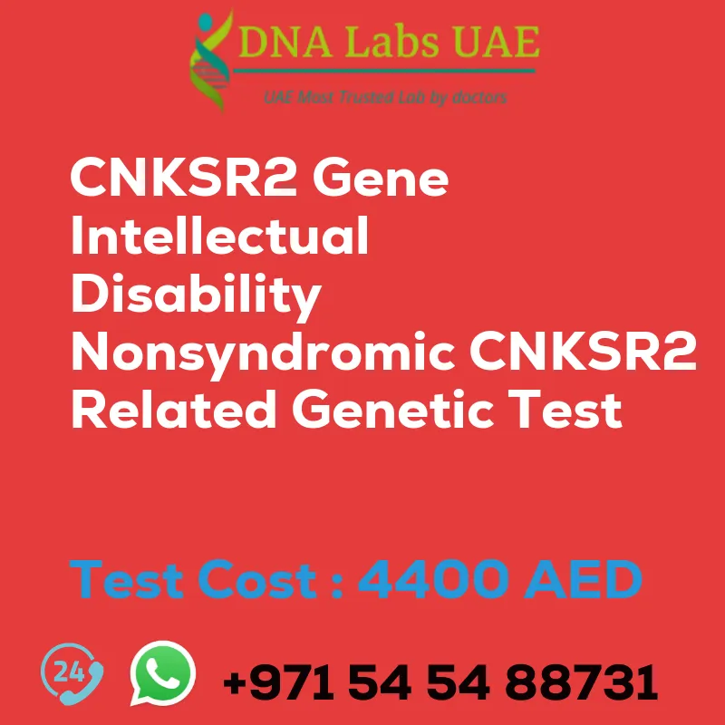 CNKSR2 Gene Intellectual Disability Nonsyndromic CNKSR2 Related Genetic Test sale cost 4400 AED