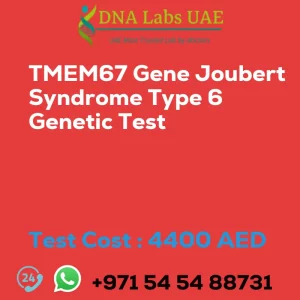 TMEM67 Gene Joubert Syndrome Type 6 Genetic Test sale cost 4400 AED