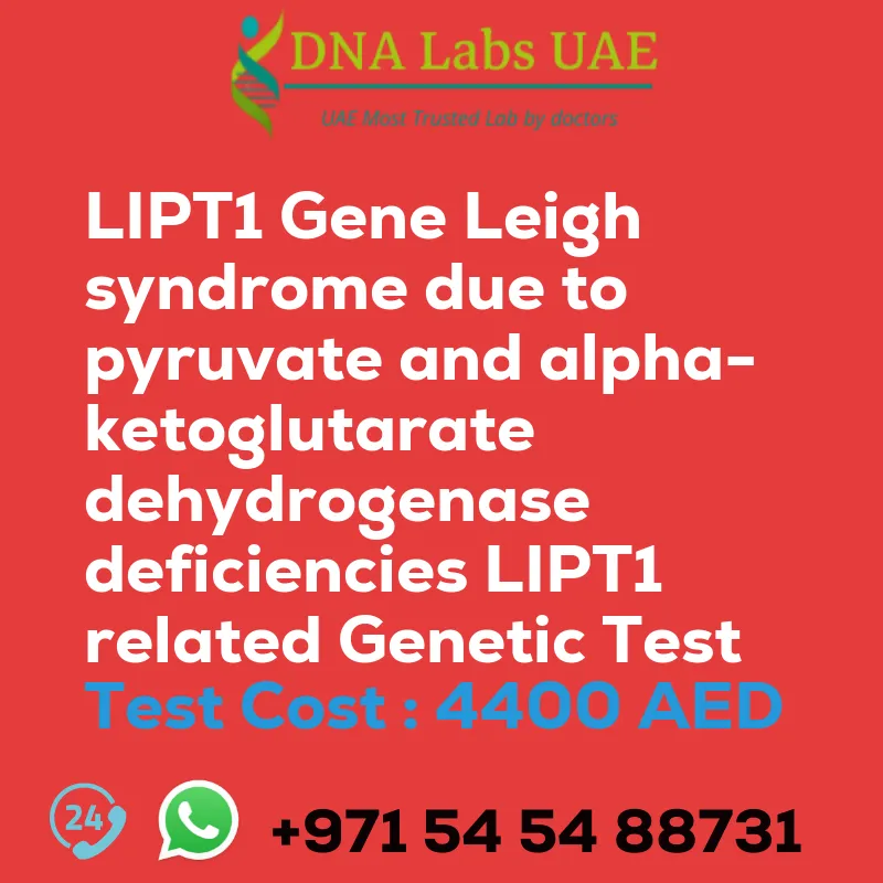 LIPT1 Gene Leigh syndrome due to pyruvate and alpha-ketoglutarate dehydrogenase deficiencies LIPT1 related Genetic Test sale cost 4400 AED
