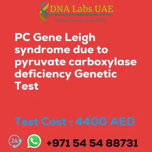 PC Gene Leigh syndrome due to pyruvate carboxylase deficiency Genetic Test sale cost 4400 AED