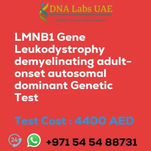 LMNB1 Gene Leukodystrophy demyelinating adult-onset autosomal dominant Genetic Test sale cost 4400 AED