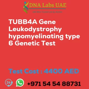 TUBB4A Gene Leukodystrophy hypomyelinating type 6 Genetic Test sale cost 4400 AED