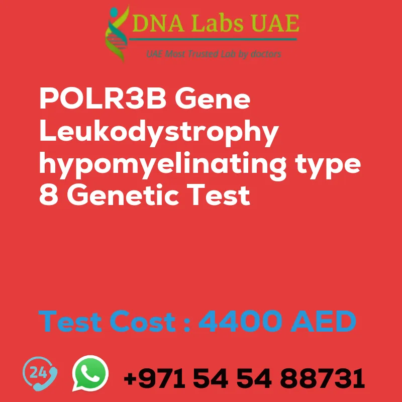 POLR3B Gene Leukodystrophy hypomyelinating type 8 Genetic Test sale cost 4400 AED