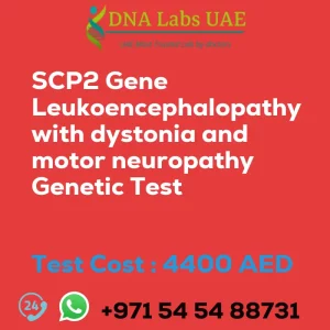 SCP2 Gene Leukoencephalopathy with dystonia and motor neuropathy Genetic Test sale cost 4400 AED