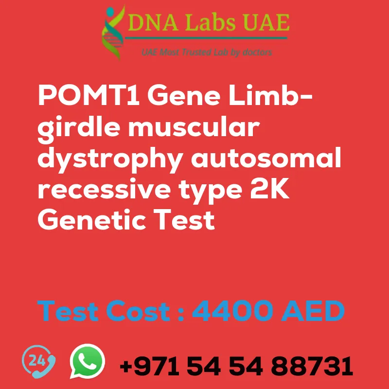 POMT1 Gene Limb-girdle muscular dystrophy autosomal recessive type 2K Genetic Test sale cost 4400 AED