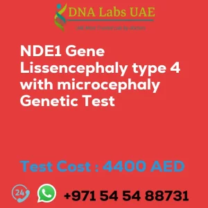 NDE1 Gene Lissencephaly type 4 with microcephaly Genetic Test sale cost 4400 AED