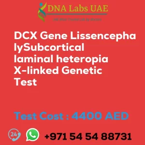 DCX Gene LissencephalySubcortical laminal heteropia X-linked Genetic Test sale cost 4400 AED