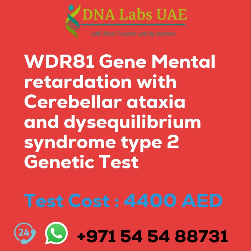 WDR81 Gene Mental retardation with Cerebellar ataxia and dysequilibrium syndrome type 2 Genetic Test sale cost 4400 AED