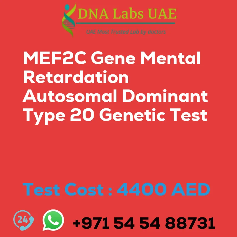 MEF2C Gene Mental Retardation Autosomal Dominant Type 20 Genetic Test sale cost 4400 AED