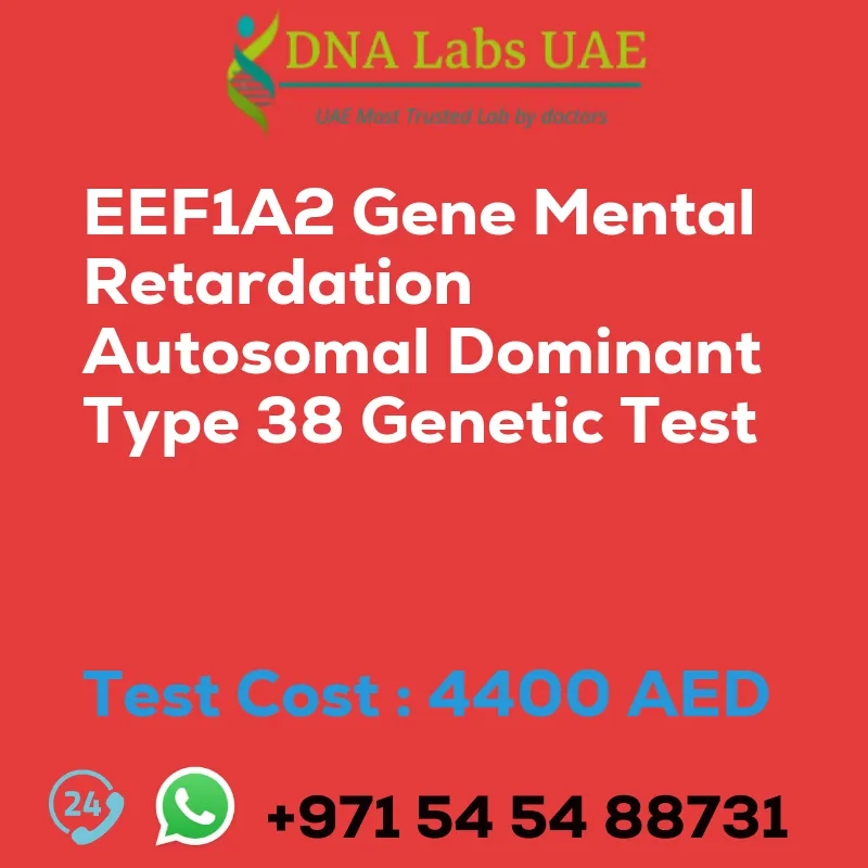 EEF1A2 Gene Mental Retardation Autosomal Dominant Type 38 Genetic Test sale cost 4400 AED