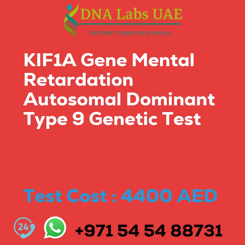 KIF1A Gene Mental Retardation Autosomal Dominant Type 9 Genetic Test sale cost 4400 AED