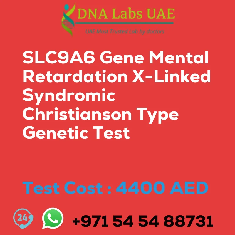 SLC9A6 Gene Mental Retardation X-Linked Syndromic Christianson Type Genetic Test sale cost 4400 AED