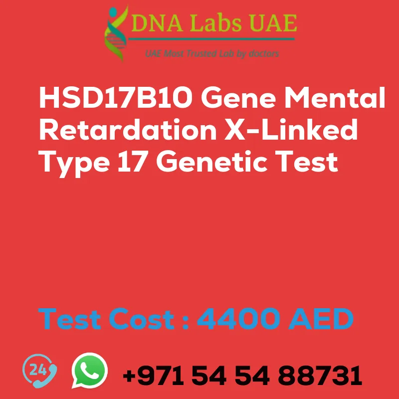 HSD17B10 Gene Mental Retardation X-Linked Type 17 Genetic Test sale cost 4400 AED