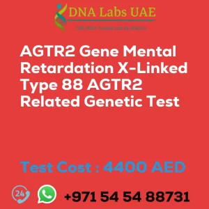 AGTR2 Gene Mental Retardation X-Linked Type 88 AGTR2 Related Genetic Test sale cost 4400 AED
