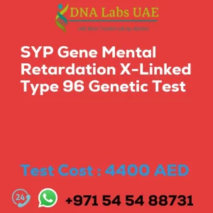 SYP Gene Mental Retardation X-Linked Type 96 Genetic Test sale cost 4400 AED